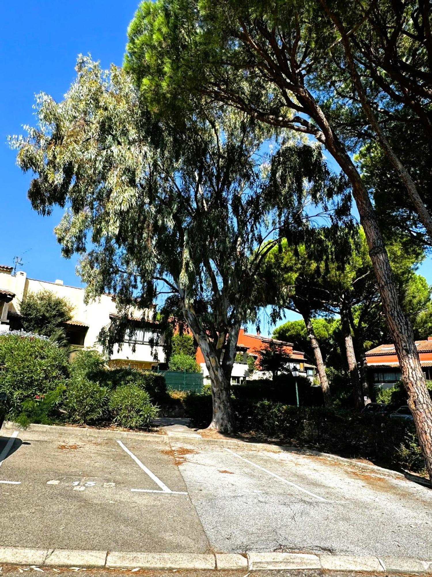 Frejus - Appartement 4 Personnes - Piscine ภายนอก รูปภาพ